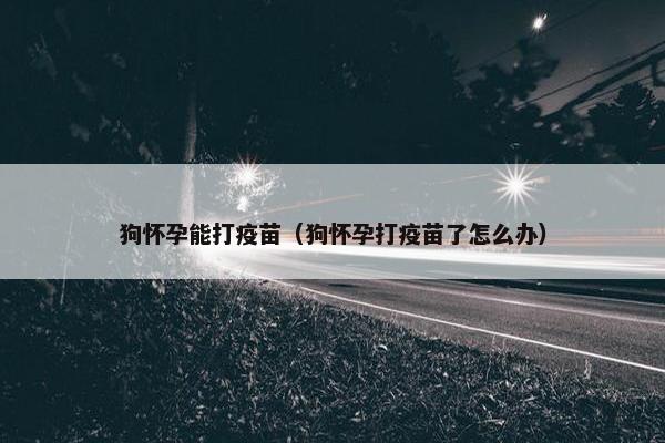狗怀孕能打疫苗（狗怀孕打疫苗了怎么办）