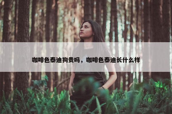 咖啡色泰迪狗贵吗，咖啡色泰迪长什么样