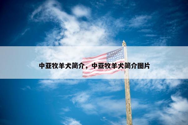 中亚牧羊犬简介，中亚牧羊犬简介图片