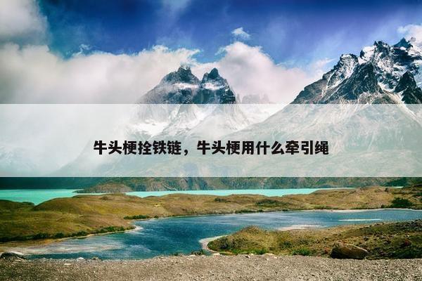 牛头梗拴铁链，牛头梗用什么牵引绳