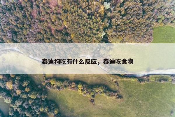 泰迪狗吃有什么反应，泰迪吃食物