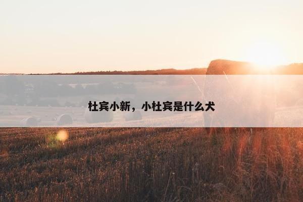 杜宾小新，小杜宾是什么犬