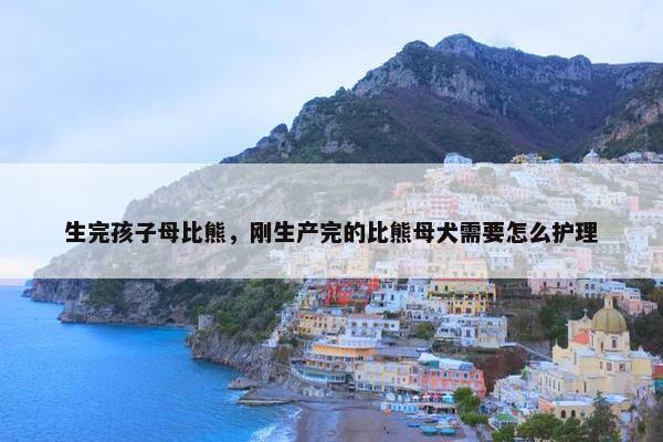生完孩子母比熊，刚生产完的比熊母犬需要怎么护理