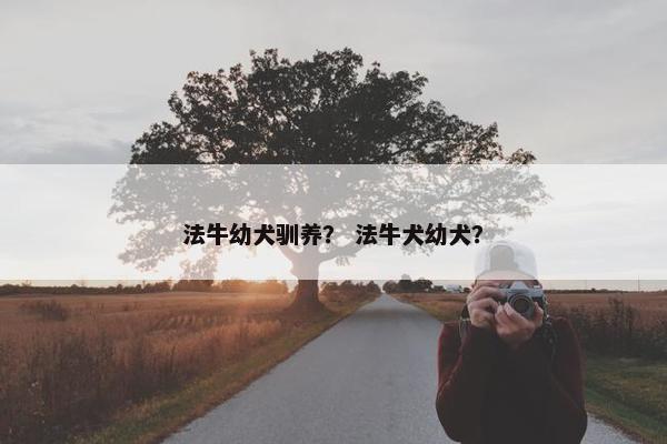 法牛幼犬驯养？ 法牛犬幼犬？
