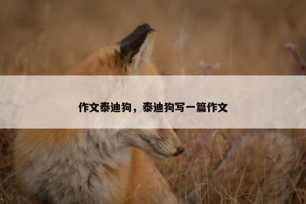 作文泰迪狗，泰迪狗写一篇作文