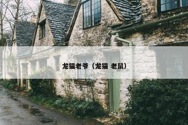 龙猫老爷（龙猫 老鼠）