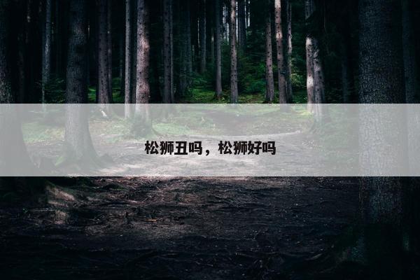 松狮丑吗，松狮好吗