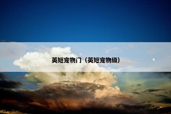 英短宠物门（英短宠物级）