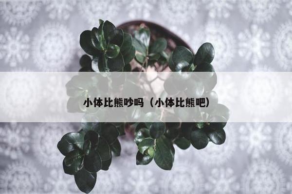 小体比熊吵吗（小体比熊吧）