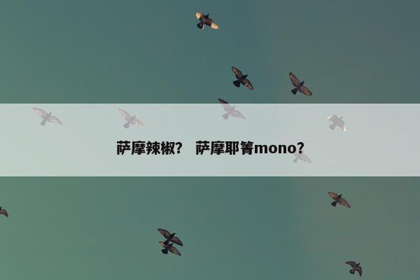 萨摩辣椒？ 萨摩耶箐mono？