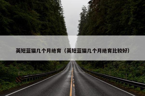 英短蓝猫几个月绝育（英短蓝猫几个月绝育比较好）