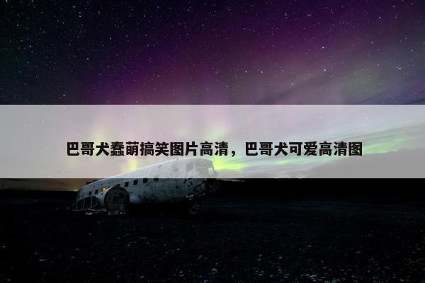 巴哥犬蠢萌搞笑图片高清，巴哥犬可爱高清图
