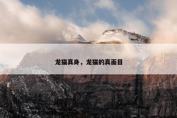 龙猫真身，龙猫的真面目
