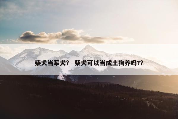 柴犬当军犬？ 柴犬可以当成土狗养吗?？