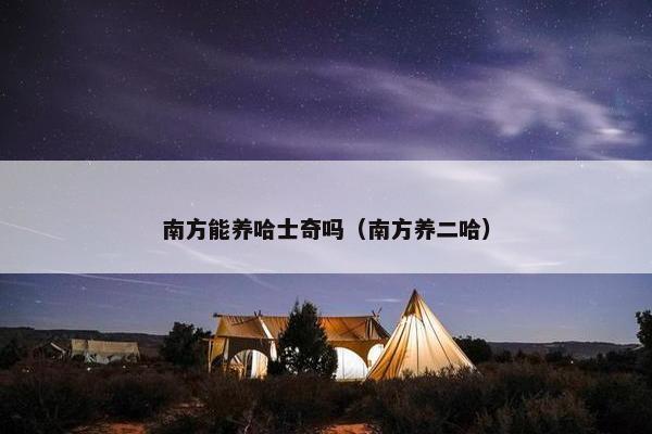 南方能养哈士奇吗（南方养二哈）
