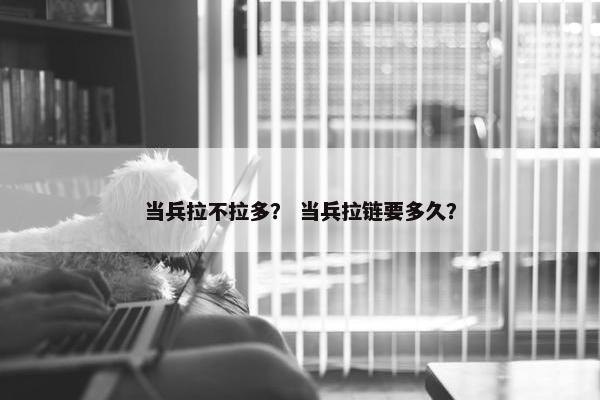 当兵拉不拉多？ 当兵拉链要多久？