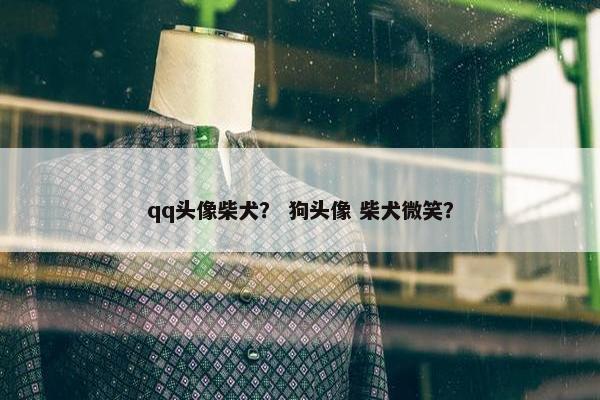qq头像柴犬？ 狗头像 柴犬微笑？