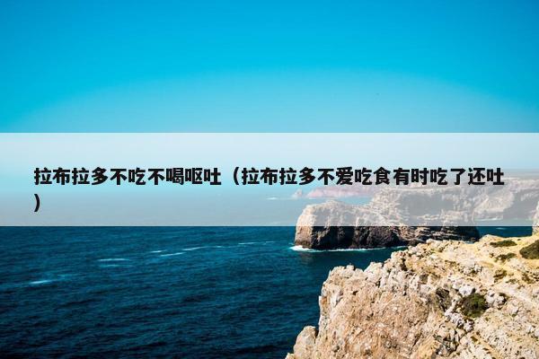拉布拉多不吃不喝呕吐（拉布拉多不爱吃食有时吃了还吐）