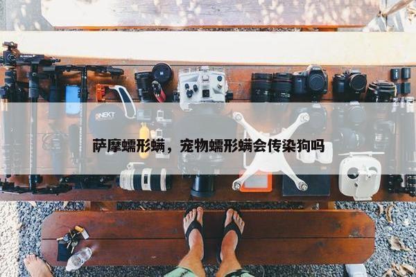 萨摩蠕形螨，宠物蠕形螨会传染狗吗