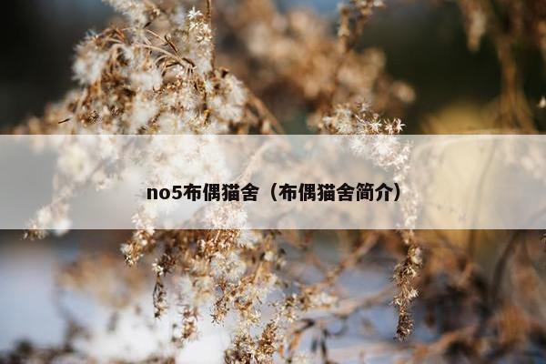 no5布偶猫舍（布偶猫舍简介）
