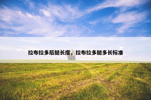 拉布拉多后腿长度，拉布拉多腿多长标准