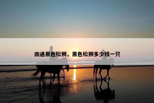 南通黑色松狮，黑色松狮多少钱一只