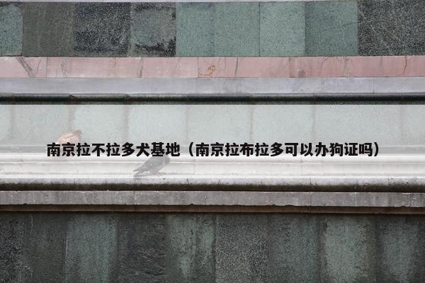 南京拉不拉多犬基地（南京拉布拉多可以办狗证吗）