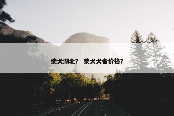 柴犬湖北？ 柴犬犬舍价格？