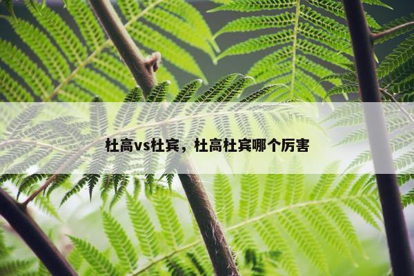 杜高vs杜宾，杜高杜宾哪个厉害
