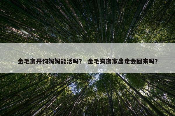 金毛离开狗妈妈能活吗？ 金毛狗离家出走会回来吗？