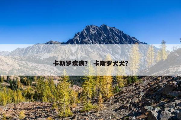 卡斯罗疾病？ 卡斯罗犬犬？