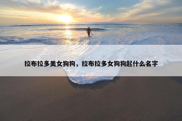 拉布拉多美女狗狗，拉布拉多女狗狗起什么名字