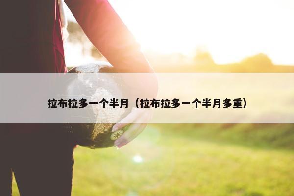 拉布拉多一个半月（拉布拉多一个半月多重）