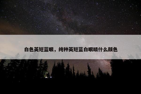 白色英短蓝眼，纯种英短蓝白眼睛什么颜色