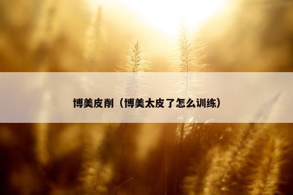 博美皮削（博美太皮了怎么训练）