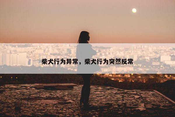柴犬行为异常，柴犬行为突然反常