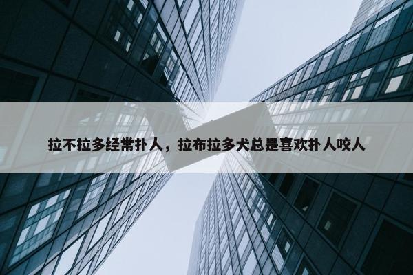 拉不拉多经常扑人，拉布拉多犬总是喜欢扑人咬人