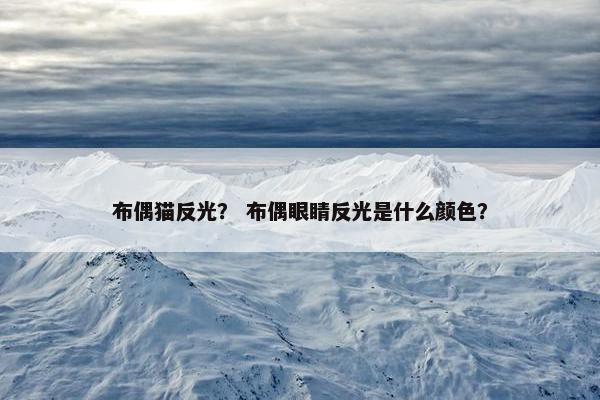 布偶猫反光？ 布偶眼睛反光是什么颜色？