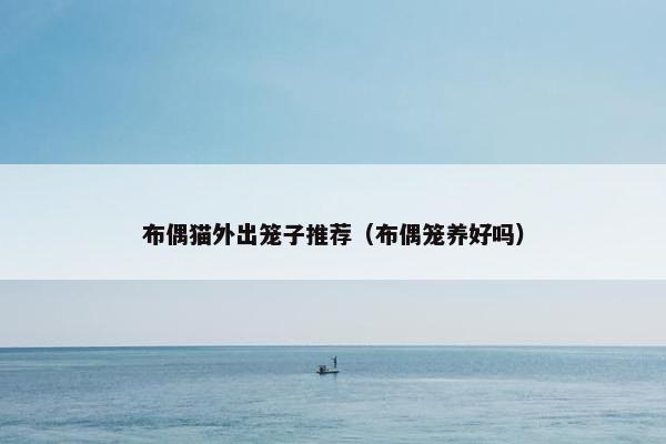 布偶猫外出笼子推荐（布偶笼养好吗）