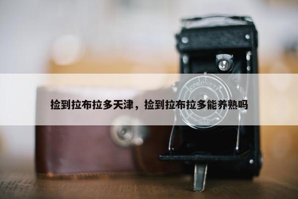 捡到拉布拉多天津，捡到拉布拉多能养熟吗