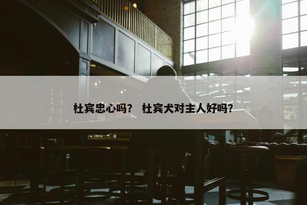 杜宾忠心吗？ 杜宾犬对主人好吗？