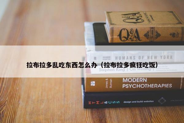 拉布拉多乱吃东西怎么办（拉布拉多疯狂吃饭）