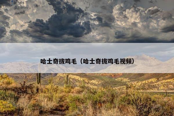 哈士奇拔鸡毛（哈士奇拔鸡毛视频）