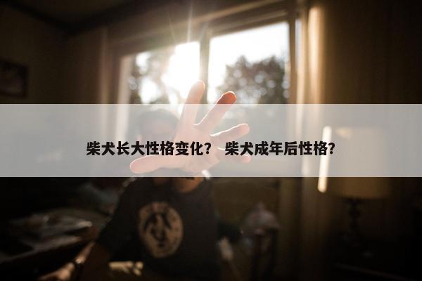 柴犬长大性格变化？ 柴犬成年后性格？