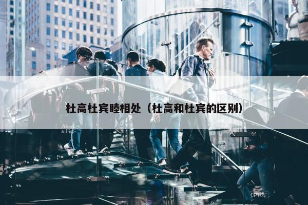 杜高杜宾睦相处（杜高和杜宾的区别）