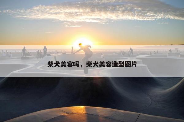 柴犬美容吗，柴犬美容造型图片