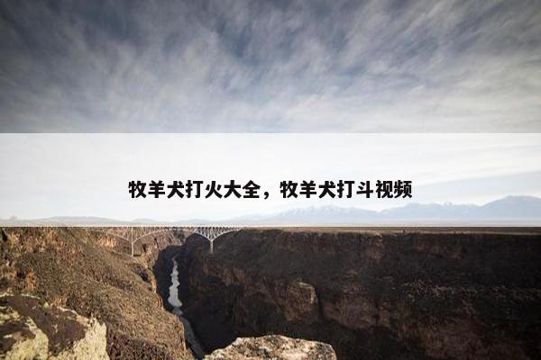 牧羊犬打火大全，牧羊犬打斗视频