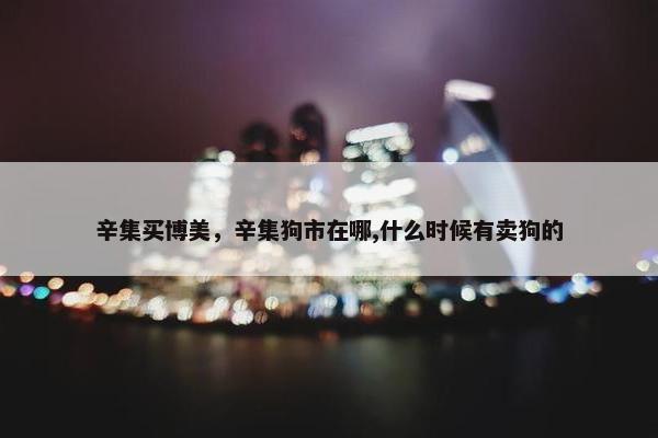 辛集买博美，辛集狗市在哪,什么时候有卖狗的
