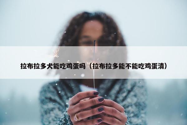 拉布拉多犬能吃鸡蛋吗（拉布拉多能不能吃鸡蛋清）