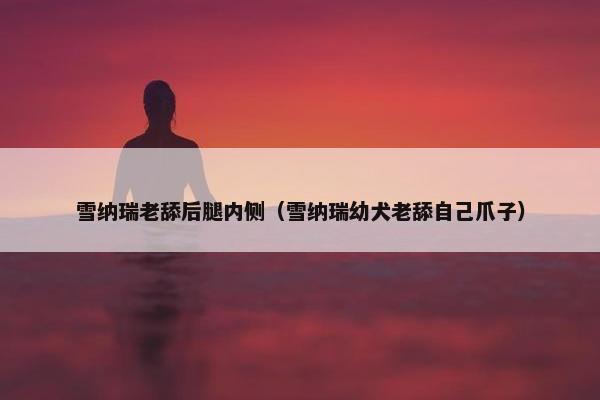 雪纳瑞老舔后腿内侧（雪纳瑞幼犬老舔自己爪子）